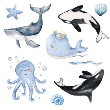 Canlı suluboya sanat eserleri, tropikal sulardan gelen çeşitli deniz hayvanlarının güzelliklerini ve çeşitliliklerini ön plana çıkarıyor..