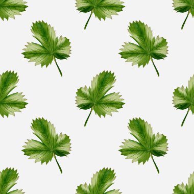 Suluboya yaprakları kusursuz bir düzende dizilmiş, tekstil tasarımları, ambalaj kağıtları ve arka planlar için mükemmel..