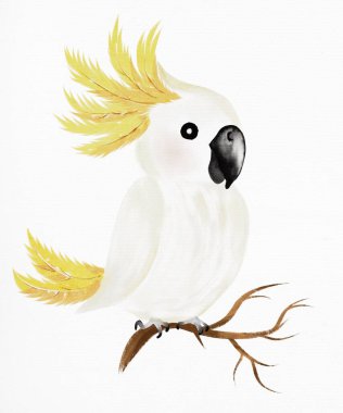 Bu suluboya tasarımı, parlak tüyler ve karmaşık detaylar içeren, bir dalın üzerine tünemiş renkli bir papağan tasarımı içerir..