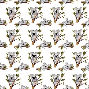 Kusursuz tasarım, beyaz arka planda okaliptüs dalları ile çevrili doğal bir ortamda neşeli koalalar içerir..