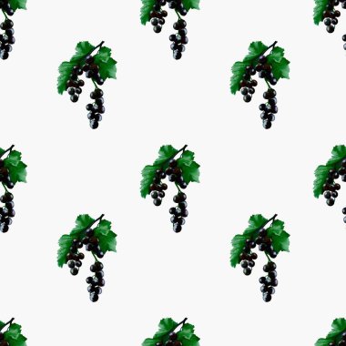 Bu kusursuz tasarım el yapımı kuşüzümü ve beyaz bir zemin üzerinde, tekstil ve dekor için ideal yapraklar içerir..