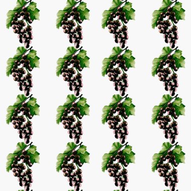 Yemyeşil yapraklı renkli kuşüzümü kümeleri duvar kâğıtları ve parmak izleri için kusursuz bir kumaş deseni oluşturur..