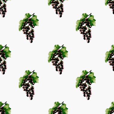 Beyaz arkaplan üzerinde ambalaj, ambalaj kağıdı ve tekstil uygulamaları için uygun olan kuşüzümü suluboya deseni.