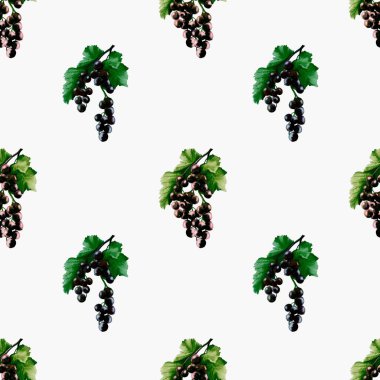 Yapraklı kuşüzümü demetleri, kumaş ve ambalaj kağıdı için ideal, pürüzsüz, zarif bir desen oluşturur..