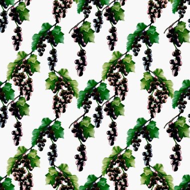 Beyaz arka planda yemyeşil yapraklı kuşüzümü içeren, tekstil ve ambalaj için uygun, pürüzsüz bir desen..