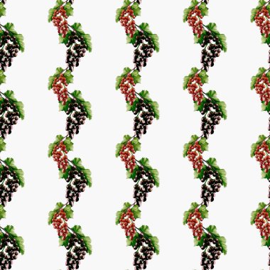 Suluboya ile gösterilen kuşüzümü kümeleri kumaş ve duvar kâğıdı için büyüleyici ve pürüzsüz bir desen oluşturur..