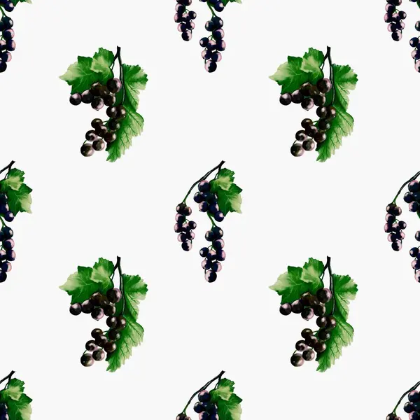 Canlı yeşil yaprakları olan ince kuşüzümü dalları temiz beyaz arka planda pürüzsüz bir suluboya deseni oluşturur..