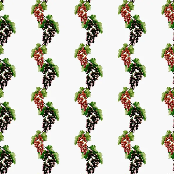 Suluboya ile gösterilen kuşüzümü kümeleri kumaş ve duvar kâğıdı için büyüleyici ve pürüzsüz bir desen oluşturur..