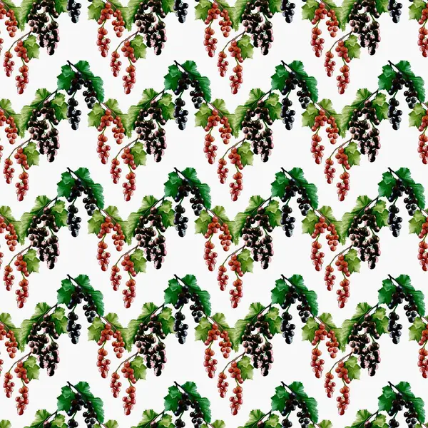 Suluboya içindeki canlı kuşüzümü kümeleri kumaş ve duvar kağıdı uygulamaları için kusursuz bir tasarım oluşturur.