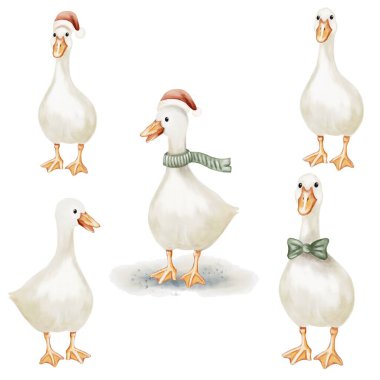 Beş kaz, keyifli bir dokunuş için sezonluk şapka ve eşarplarla süslenmiş suluboya tarzıyla gösterilir..