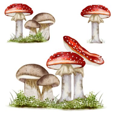 Bu pürüzsüz desen yumuşak çimlerle çevrili canlı mantarlar sergiliyor. Sonbahar temalı kumaşlar ve duvar kağıtları için mükemmel..