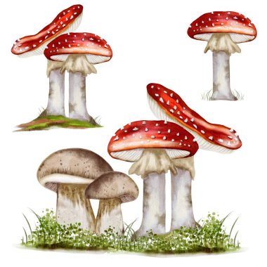 Renkli sonbahar mantarları kumaş, duvar kağıdı ve dekoratif ambalaj için mükemmel bir tasarım içinde sunuluyor..