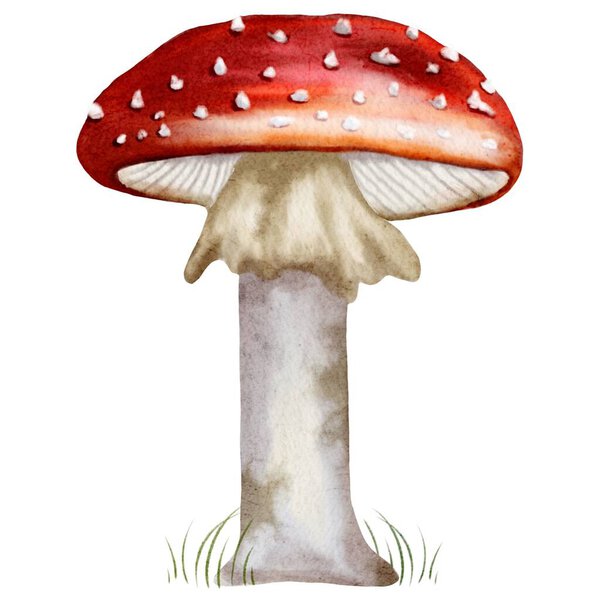 A vibrant red mushroom with a white spotted cap captures autumn's essence in this seamless watercolor artwork.
