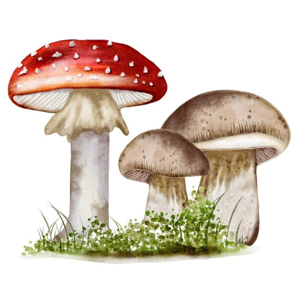 This design features beautifully painted mushrooms, showcasing autumn colors and textures perfect for fabric or wallpaper use.