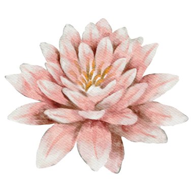 Dönen desenlerde kurbağalar, yusufçuklar ve pembemsi zambaklar var. Kumaş ve duvar kağıtları için mükemmel..