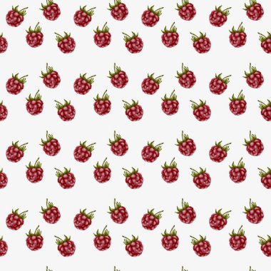 Bu kusursuz suluboya deseninde parlak ahududular sergileniyor. Kumaş, ambalaj ve duvar kağıdı tasarımları için mükemmel..