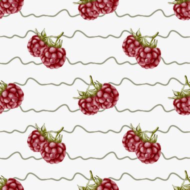 Renkli ahududular, tekstil ve ambalaj kağıtları için ideal bir tasarım sergileyerek pürüzsüz bir desen içinde düzenlenmiştir..