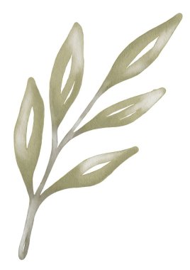 Bu kusursuz tasarım kumaş, hediye paketi ve duvar kağıdı projeleri için ideal suluboya yaprak deseni içerir..