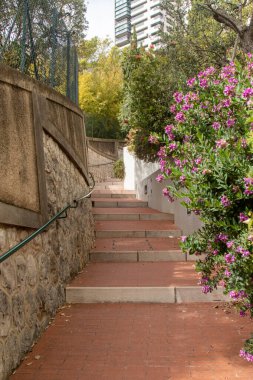 Monako, Monako, 22 Nisan 2023 Monako Prensliği 'ndeki kamu yolları.