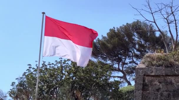 Монако Монако Квітня 2023 Прапор Князівства Монако Літає Монако Віллі — стокове відео