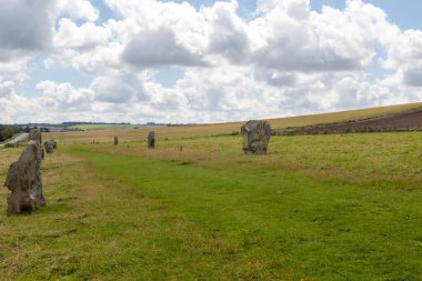 Batı Kennet Bulvarı boyunca uzanan taşlar Avebury Henge 'den çıkan paralel bir hat ve Dünya Mirası Alanının bir parçası.