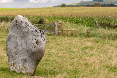 Batı Kennet Bulvarı boyunca uzanan taşlar Avebury Henge 'den çıkan paralel bir hat ve Dünya Mirası Alanının bir parçası.