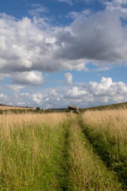 Şeytan Mağarası Neolitik Anıtı, İngiltere, Wiltshire 'daki Avebury' nin Dünya Mirası Alanı yakınlarında.