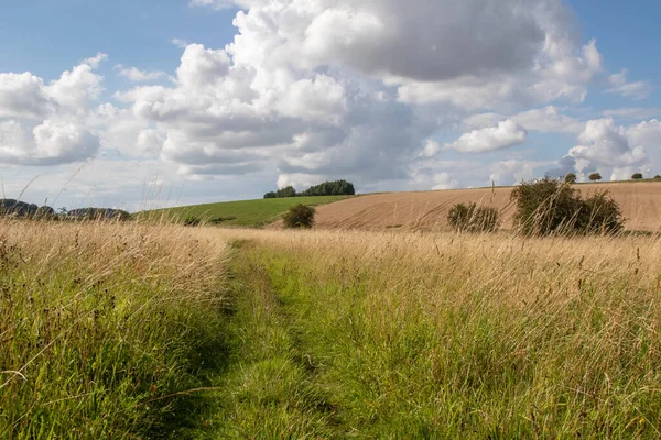 Ett Fält Med Offentlig Plats Nära Världsarvet Avebury Wiltshire Storbritannien — Stockfoto
