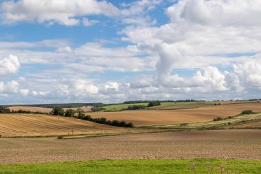 İngiltere, Wiltshire 'da ekime hazır tarım tarlaları sürülüyor.