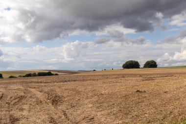 İngiltere, Wiltshire 'da ekime hazır tarım tarlaları sürülüyor.
