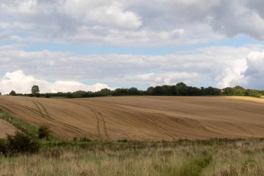 İngiltere, Wiltshire 'da ekime hazır tarım tarlaları sürülüyor.