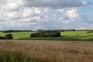 İngiltere, Wiltshire 'da ekinlerin yetiştiği tarım arazileri