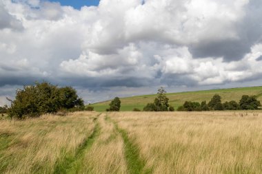İngiltere, Wiltshire 'da tarımsal alanlardan geçen kamusal yol hakkı