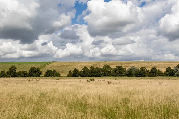 stock image Agricultural  fields at fallow in Wiltshire, United Kingdom