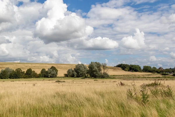 İngiltere, Wiltshire 'da tarımsal tarlalar nadasa