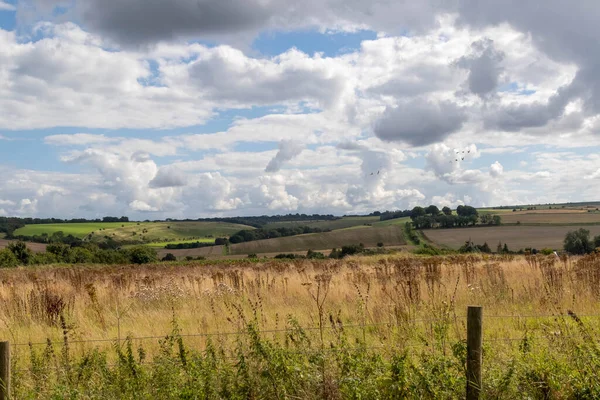 Jordbruksmark Träda Wiltshire Förenade Kungariket — Stockfoto