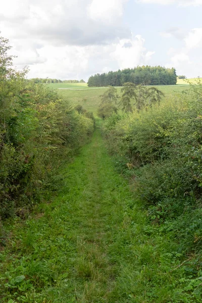 İngiltere, Wiltshire 'da tarımsal alanlardan geçen kamusal yol hakkı