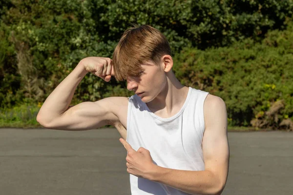 Fit Sporty Teenage Boy Doing Press Ups Warm Summers Day — Stock Photo, Image