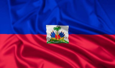 Haiti Cumhuriyeti Bayrağı Dalgalanma Efektiyle