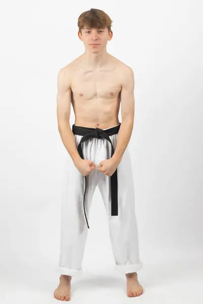 Bocah Sabuk Hitam Karate Tanpa Kaos Berusia Tahun Pemakaian Celana Stok Lukisan  