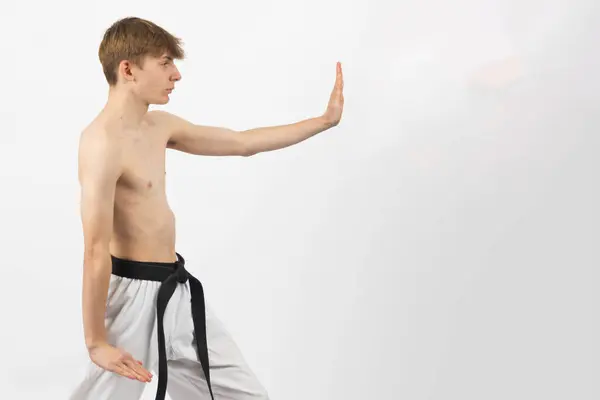 Bocah Sabuk Hitam Karate Tanpa Kaos Berusia Tahun Pemakai Celana Stok Foto