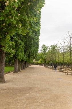 Paris, 19 Nisan 2024 Jardin Du Lüksemburg ya da Lüksemburg Bahçesi manzarası