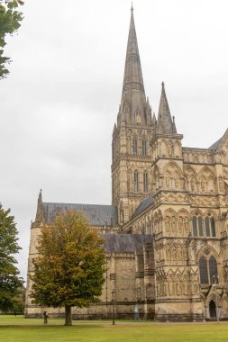 Salisbury, Birleşik Krallık, 25 Ağustos 2024 İngiltere 'deki en yüksek kilise kulesine sahip Salisbury Katedrali manzarası.