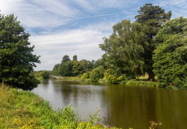 Parkland, Waverley Abbey harabelerinin yanında, Farnham, Surrey yakınlarında.