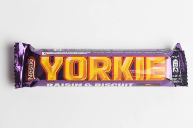 Londra, Birleşik Krallık, 24 Eylül 2024 - Beyaz arka planda Yorkie Raisin & Biscuit 'in görüntüsü