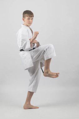 On beş yaşında, erkek, karate siyah kuşağı var. Yan tekme atıyor. Stüdyoda beyaz bir arka plana karşı çekim yapıyor.