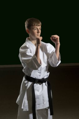 15 yaşında, erkek, karate siyah kuşağı var. Arka yumruk atıyor. Stüdyo çekimi siyah arka plana karşı.