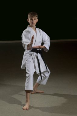 Fifteen year old male teenage karate black belt in back stance, studio shot against a black background clipart