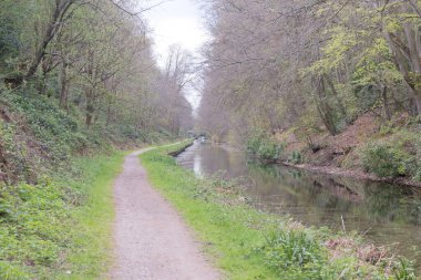 Basingstoke Kanalı manzarası, Deepcut, Surrey, İngiltere yakınlarında.