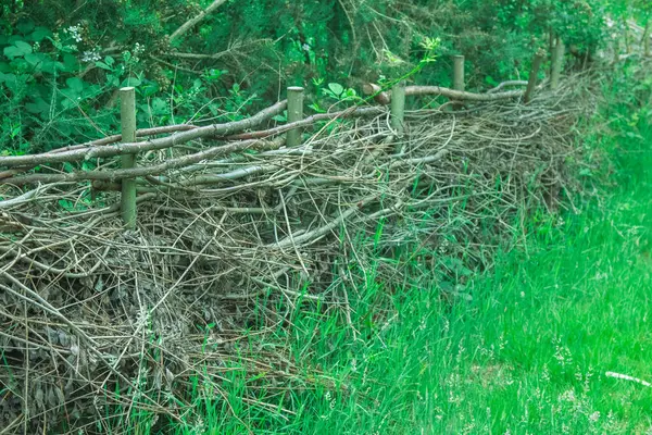 Kesilmiş ahşaptan yapılmış geleneksel bir çit. Doğa yolunun kenarına karşı.